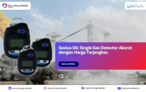 single gas detector gaslux sg