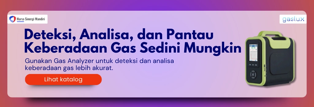 gas analyzer gaslux