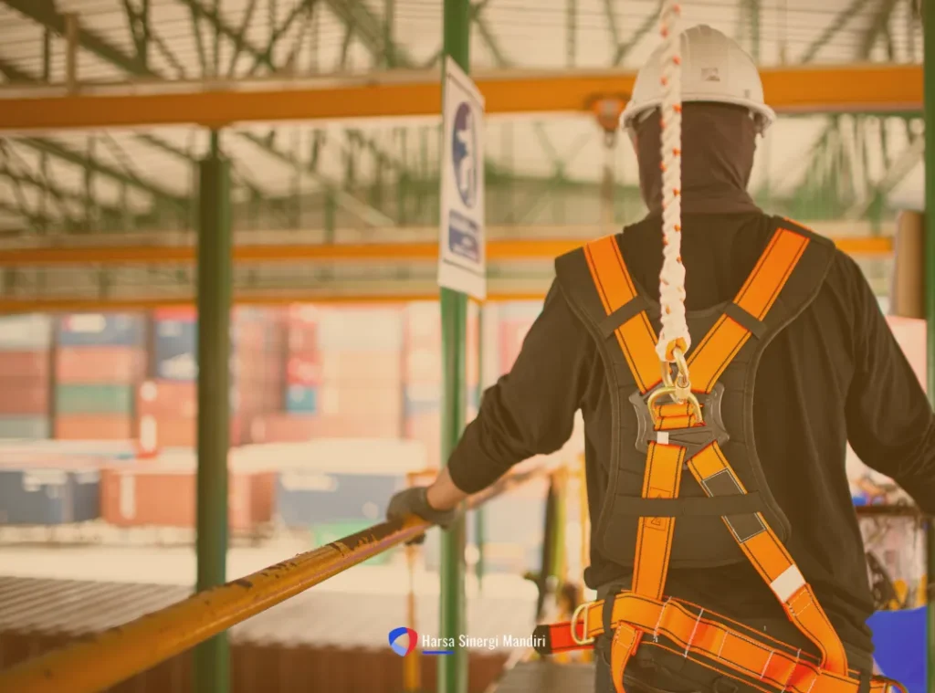 Safety Harness