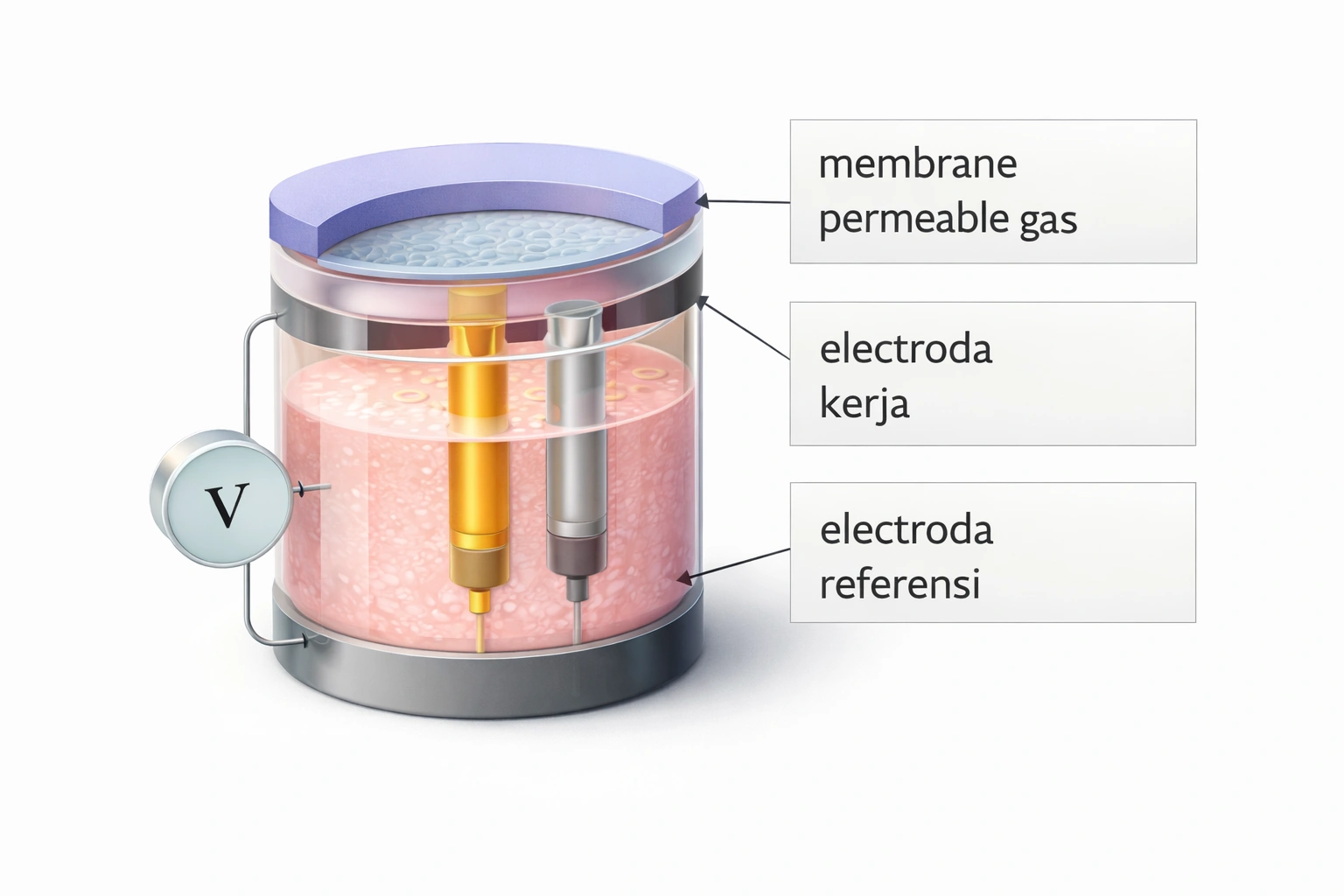 Sensor Elektrokimia